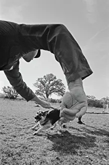 US Military German Shepherd Sentry Training
