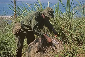 Huty27250 Prints: US Military Patrol, Vietnam War