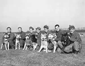 Military Personnel With Rescue Sled Dogs