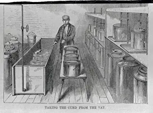 Milk Curdling Vat Being Used