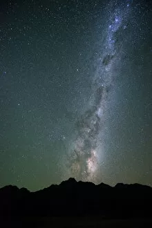 South Island New Zealand Gallery: Milky Way behind tree, South Island, New Zealand