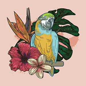 Images Dated 25th August 2019: Millennial Pink and Coral Tropical Plant and Floral Bouquet