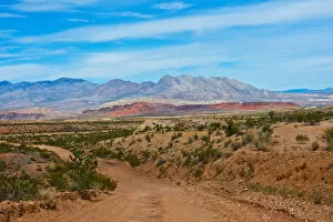 Images Dated 26th September 2017: Million Hills seen from Gold Butte Road, Gold Butte National Monument, Mesquite, Nevada, USA