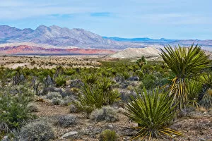 Images Dated 26th September 2017: Million Hills seen from Gold Butte Road, Gold Butte National Monument, Mesquite, Nevada, USA