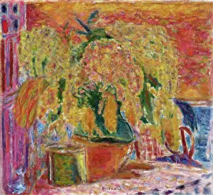 Bonnard Prints: Mimosa Bouquet