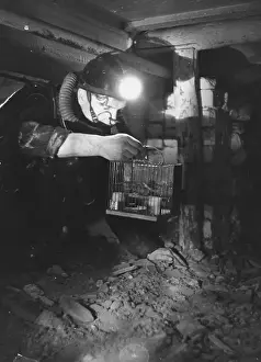 Cage Prints: Miner Does Test