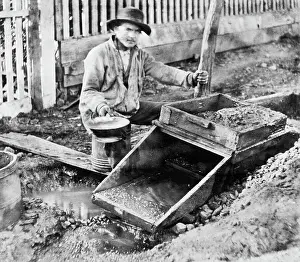 Miner Prints: Miner In Tuolumne County