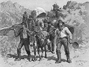 Whip Prints: Miners During The California Gold Rush