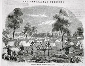Gold Mine Prints: Miners Constructing Tent Frame