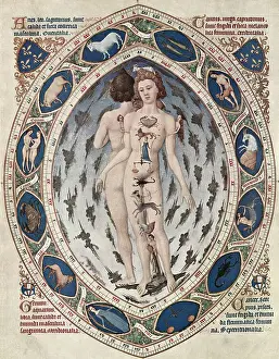 Miniature Painting of Signs of the Zodiac in Relation to the Human Body