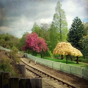 Images Dated 22nd May 2013: Miniature Railway - Lakeland Station