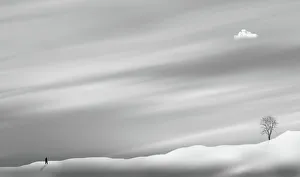 Branch Collection: Minimalist man walking on the snow
