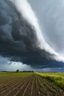 Images Dated 3rd June 2016: Minnesota Arcus cloud, USA