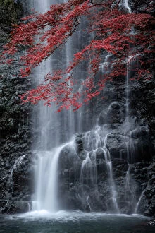 Minoo waterfall in colorful autumn season with red maple leaf, Minoo park, Osaka, Japan