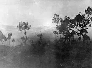 Fatima Prints: Miracle at Fatima