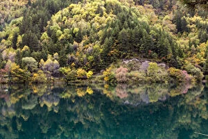 Images Dated 18th October 2014: Mirror lake in autumn, Jiuzhaigou Valley