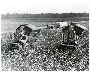 Mississippi Cotton Plantation
