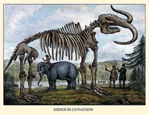 Bones Prints: Missouri Leviathan