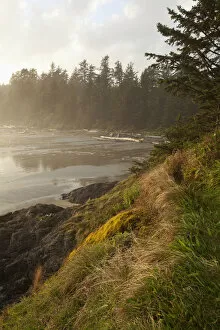 Rain Forest Gallery: Mist And Fog Form Over The Beach At Incinerator Rock Area Of Long Beach In Pacific Rim National Park Near Tofino