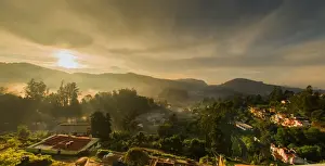 Misty dawn in Ooty