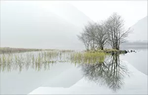 Images Dated 22nd March 2012: Misty lake