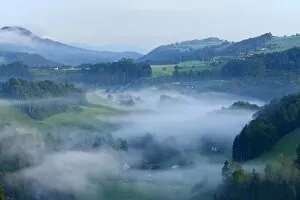 Misty landscape in autumn, Hirzel area, Zurich, Switzerland, Europe