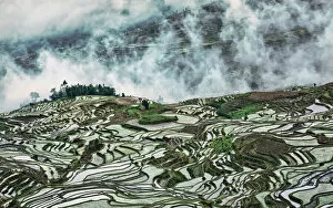 Images Dated 6th May 2012: Misty terraces