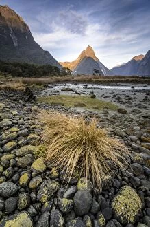 Pinnacle Rock Formation Collection: Mitre Peak, Fiordland National Park, Milford Sound, South Island, New Zealand