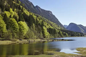 Mittersee Lake, Chiemgau region, Chiemgau Alps, Upper Bavaria, Bavaria, Germany, Europe