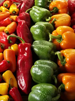 Side By Side Prints: Mixed red, green, yellow and orange fresh bell peppers