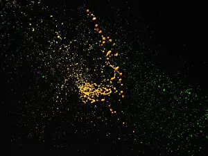 Prints of Yellow and green splashes on black background Stone Prints: Mixing Liquids