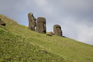 Rano Raraku Prints: Moai at Moai Quarry