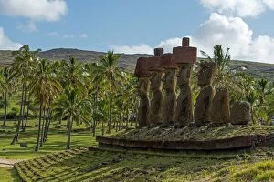 Moais, palm trees, near Anakena, Rapa Nui, Easter Island, Chile