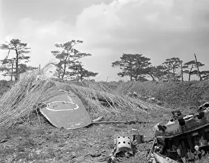 Deceit Prints: Mock Japanese Military Airplane Partially Hidden Under Brush