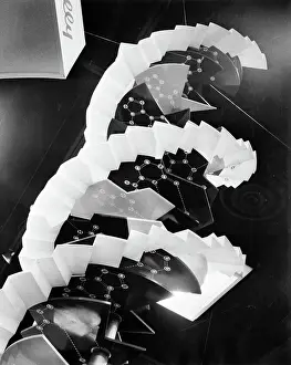 Chemistry Prints: Model Of Dna Molecule