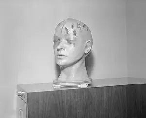 Model Head