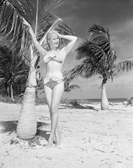 Bikini Prints: Model Posing In A Bikini On The Beach