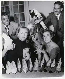 Kitten Prints: Models and Animals Showing Shoe Collection