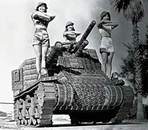 Tampa Prints: Models Standing on Mock Tank
