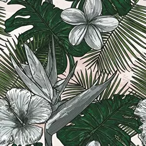 Images Dated 25th August 2019: Modern Tropical Floral Pattern