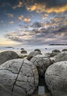 Images Dated 17th December 2011: Moeraki Boulders, geological feature, round rock balls, Coastal Otago, Moeraki, South Island