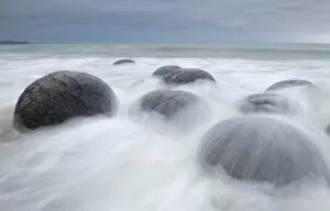 Images Dated 17th December 2011: Moeraki Boulders, geological feature, round rock balls, washed by the waves of the surf at high