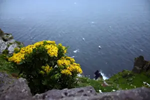 Monastic site of Blind Mans Cove