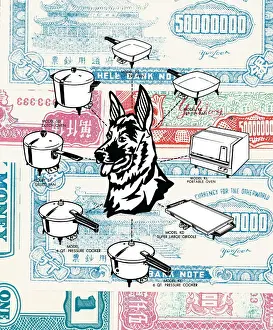 Money and Dog and Kitchen Appliances