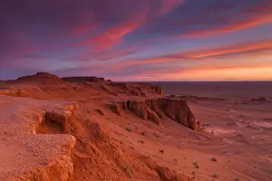 Death Prints: Mongolia, Omnogov province, flaming cliffs Bayanzag