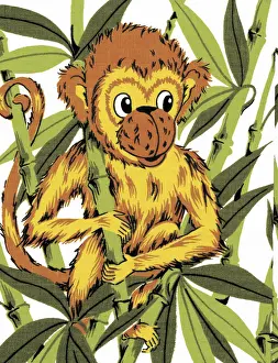 Monkey