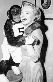 Monkey Business