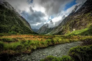 Global Landscape View Prints: monkey creek revisited