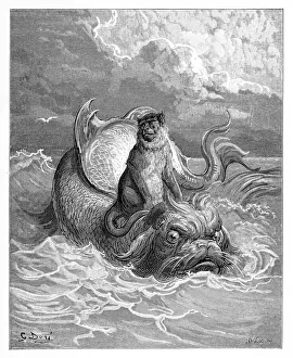 Monkey Collection: The Monkey and the Dolphin
