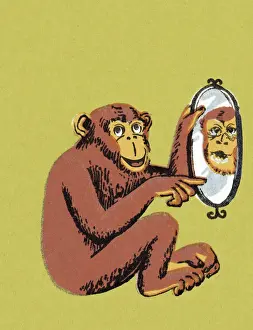 Illustrati Prints: Monkey Pointing at Mirror
